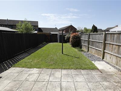 Picture 16